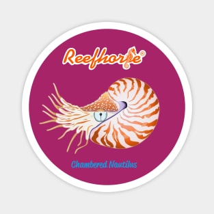 Chambered Nautilus 2 Magnet